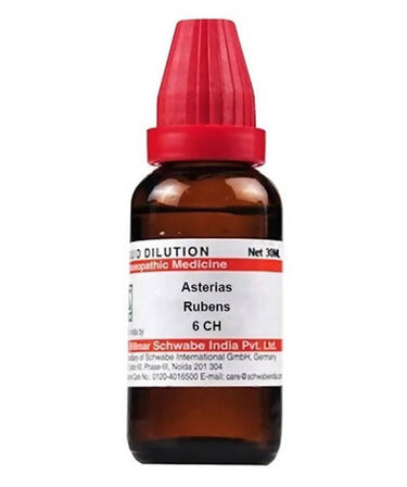 https://cdn.shopify.com/s/files/1/1857/6931/products/72f6N5mY6b.jpg?v=1640930085